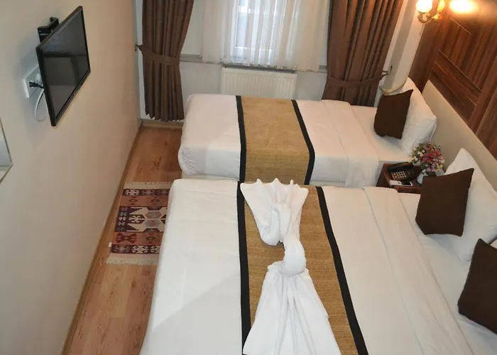 Отель Grand Fatih