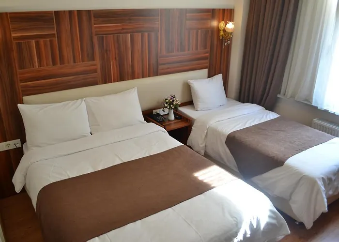 Отель Grand Fatih 3*